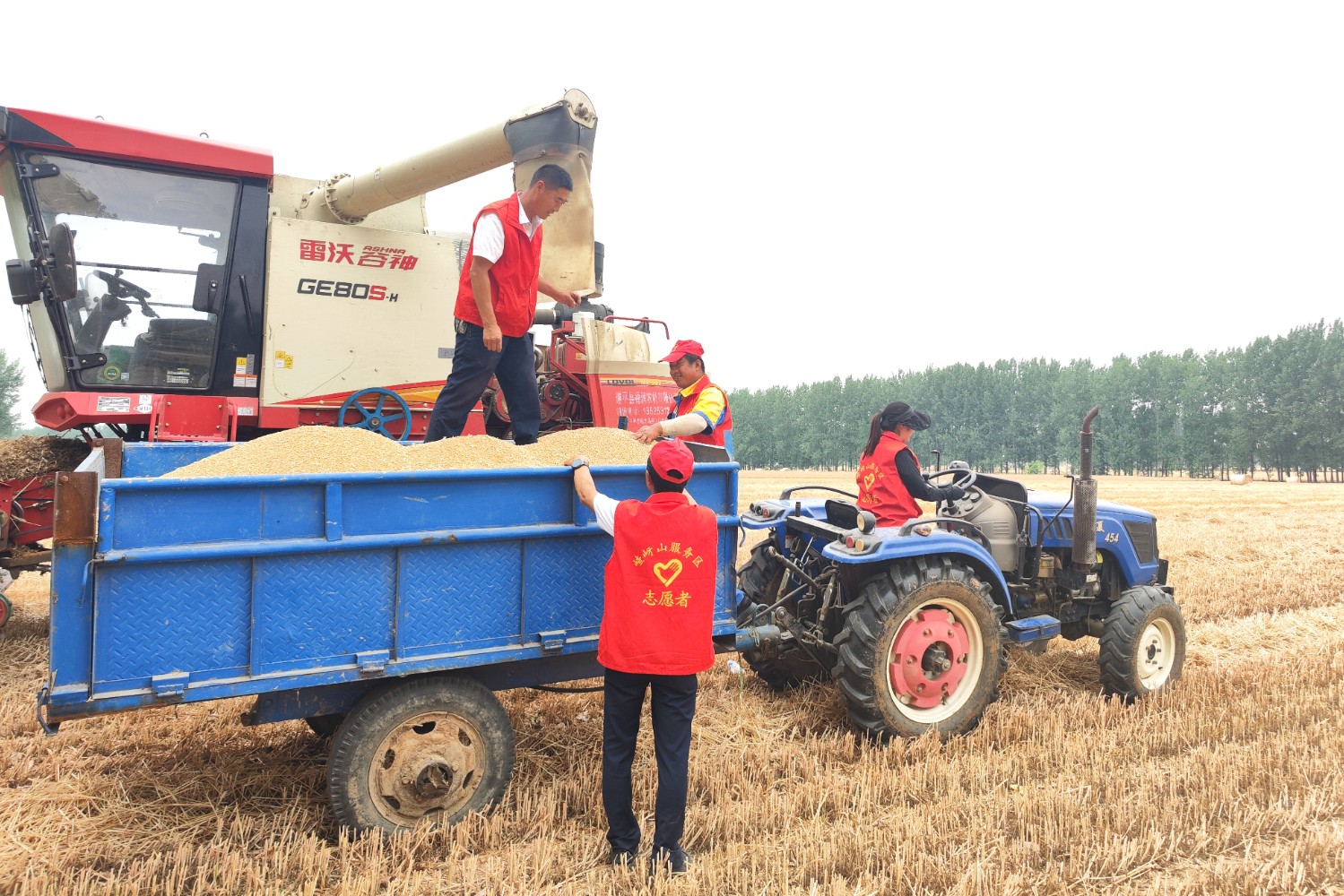 嵖岈山服務區志愿服務隊積極開展“三夏”幫扶工作,幫助周邊村民收小麥2。(拍攝:張宇 13223845109).jpg